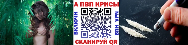 А ПВП СК  Афипский 