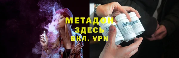 индика Ленск